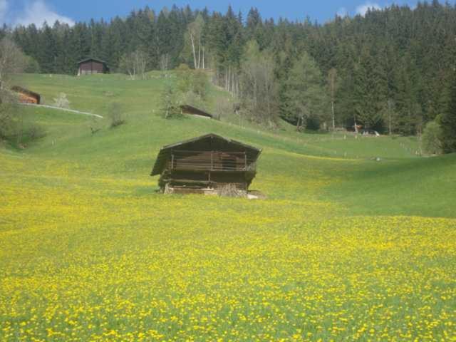 Appartementhaus Eberharter Hart im Zillertal Exterior photo